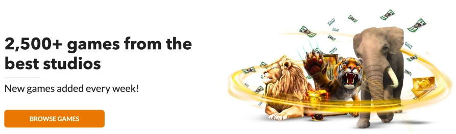 Skol Casino